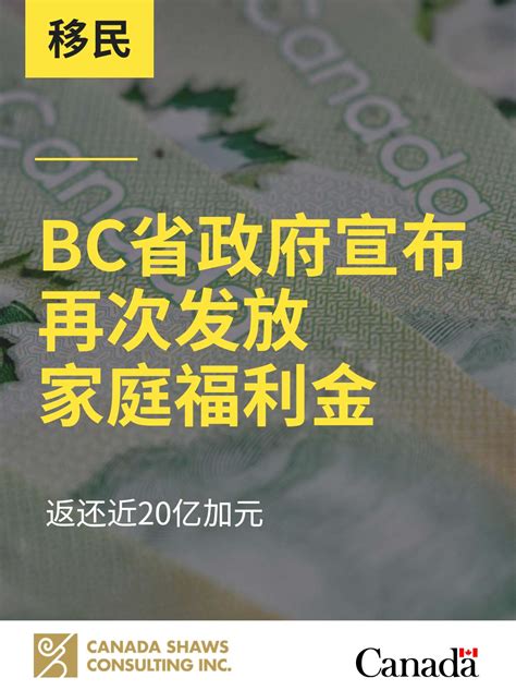 上周又有一家网络BC被取消牌照 三家被暂停运营.
